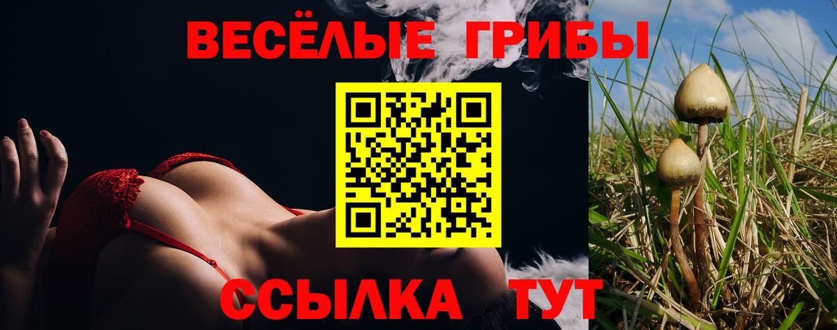 Галлюциногенные грибы Magic Shrooms  Галлюциногенные грибы мухоморы  Вход с VPN  Воркута 