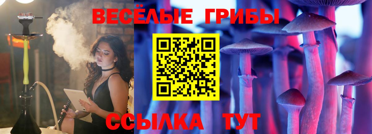 Галлюциногенные грибы GOLDEN TEACHER Воркута